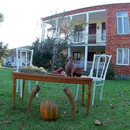 Surmava Palace Martvili Dış mekan fotoğraf