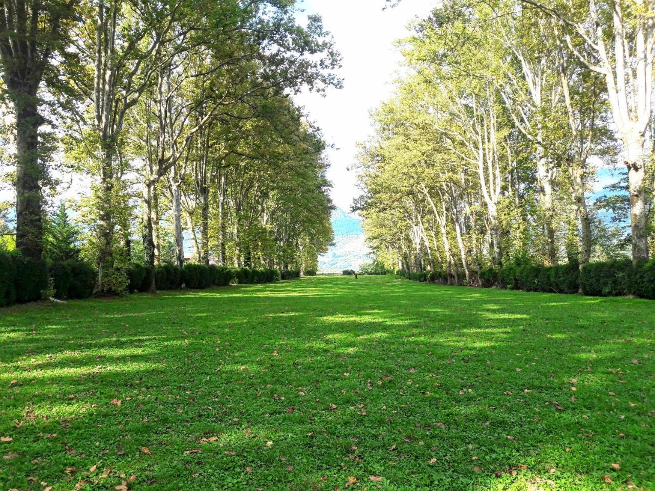 Surmava Palace Martvili Dış mekan fotoğraf