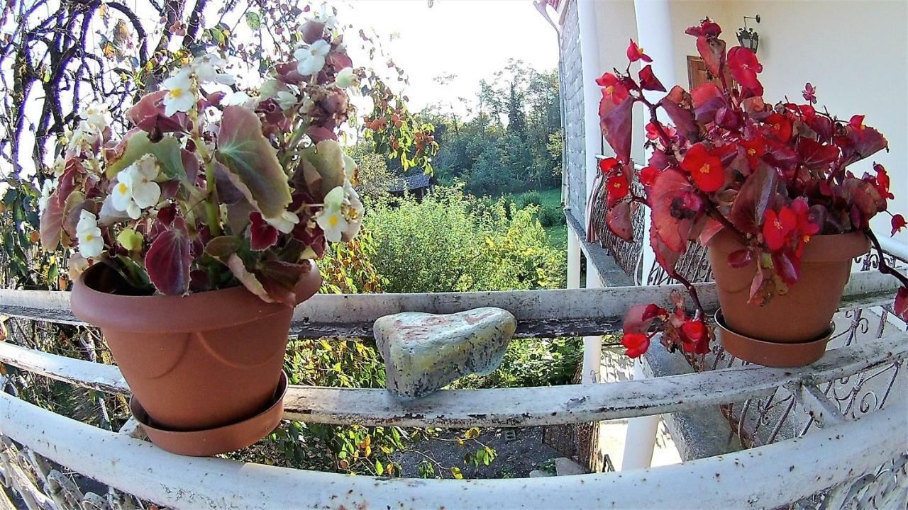 Surmava Palace Martvili Dış mekan fotoğraf