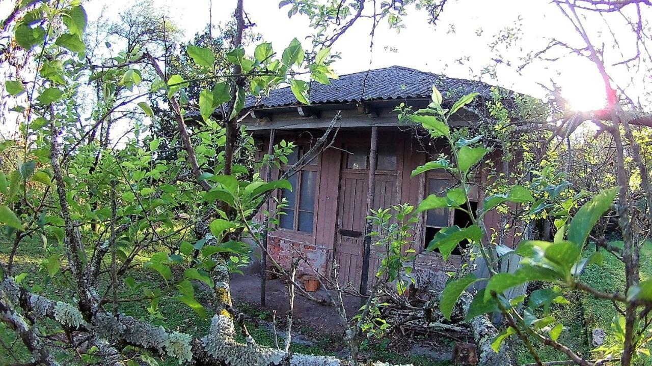 Surmava Palace Martvili Dış mekan fotoğraf