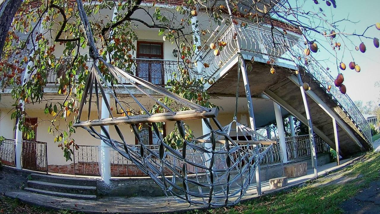 Surmava Palace Martvili Dış mekan fotoğraf