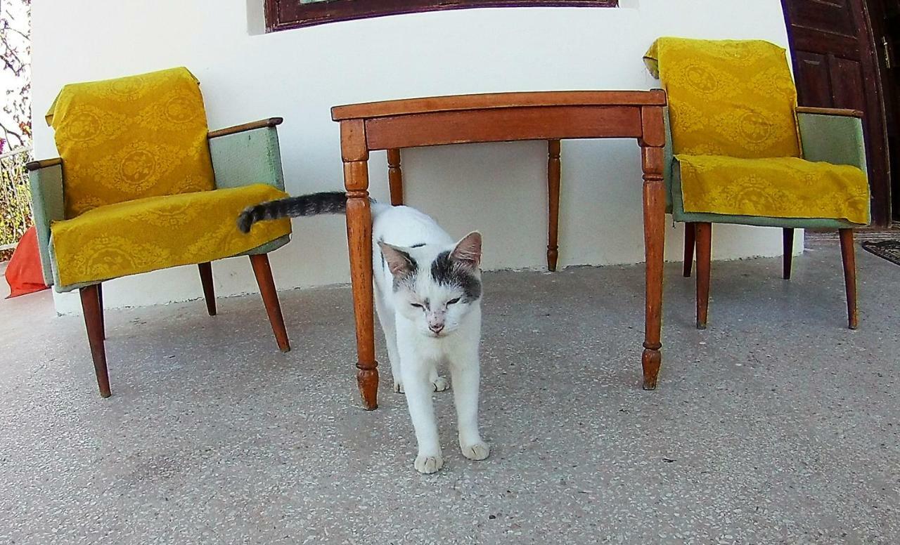 Surmava Palace Martvili Dış mekan fotoğraf